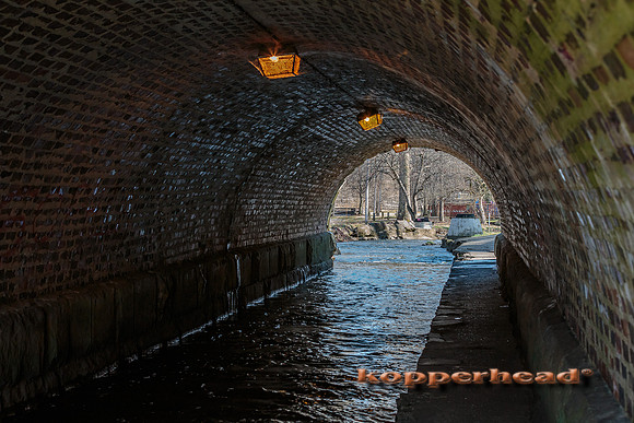 31015 04 2015 Kopperhead