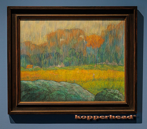 57939 02 2023 Kopperhead