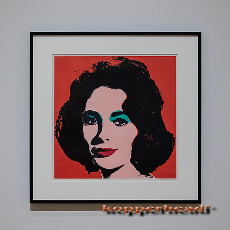 57950 02 2023 Kopperhead