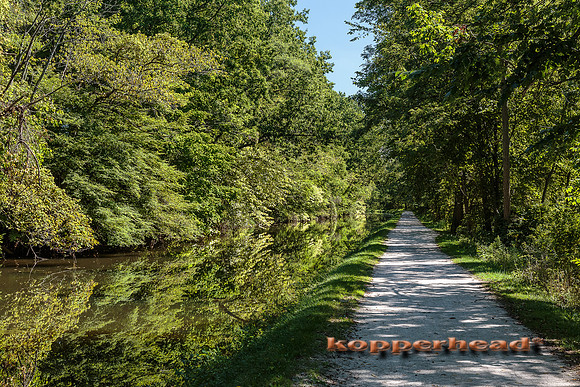 61107 09 2016 Kopperhead