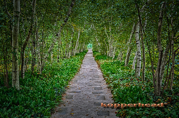 10880h 08 2013 Kopperhead