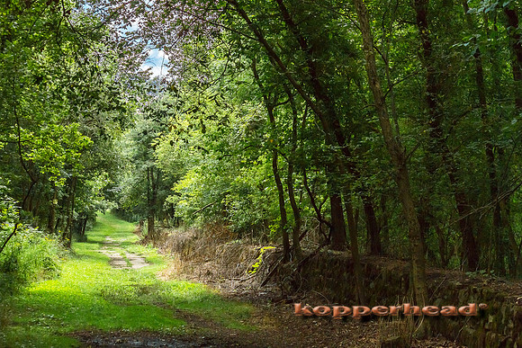 54765 08 2012 Kopperhead