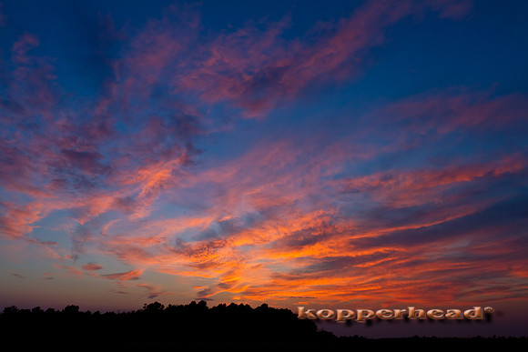 33627 07 2011 Kopperhead