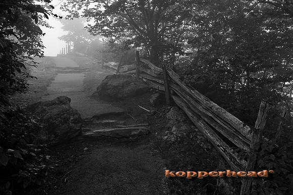 34891 08 2011 Kopperhead