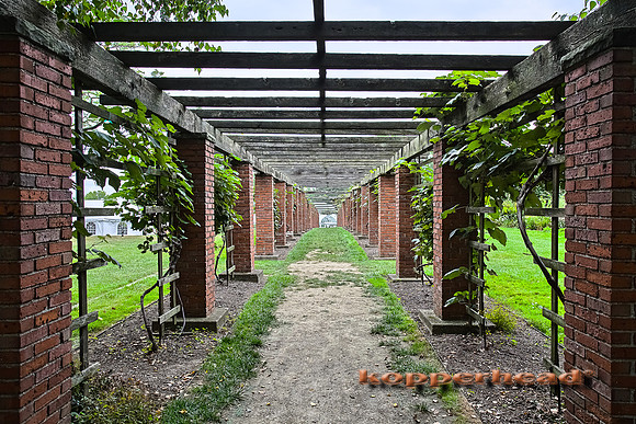 10899h3 09 2013 Kopperhead