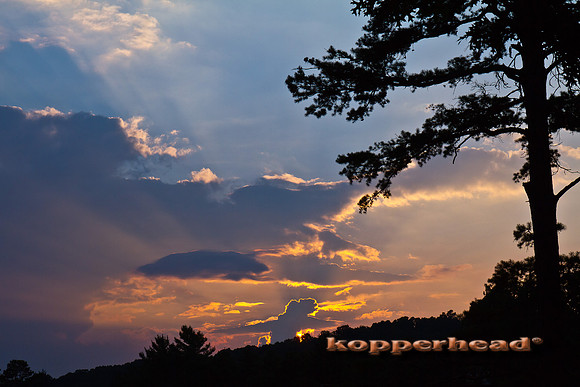 34077 07 2011 Kopperhead