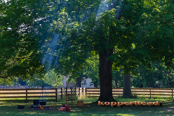 48827 07 2012 Kopperhead