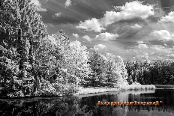70071ir 05 2017 Kopperhead