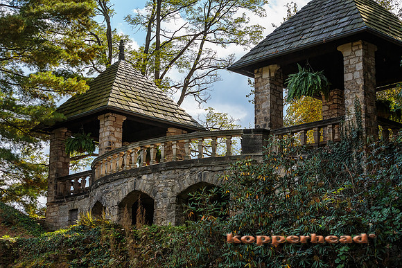 42256 10 2015 Kopperhead