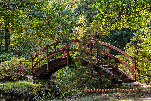 42253 10 2015 Kopperhead