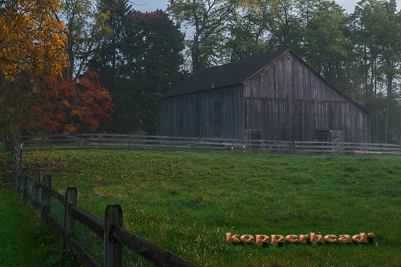 12117 10 2013 Kopperhead