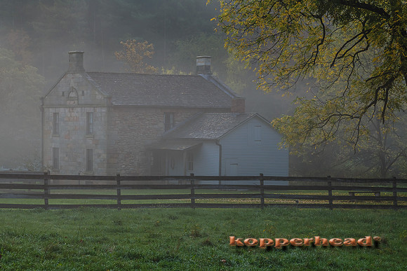 12123 10 2013 Kopperhead