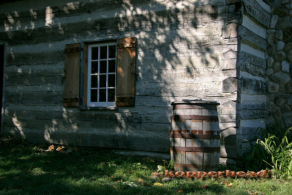 0950x 10 2004 Kopperhead