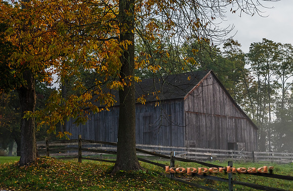 12122 10 2013 Kopperhead