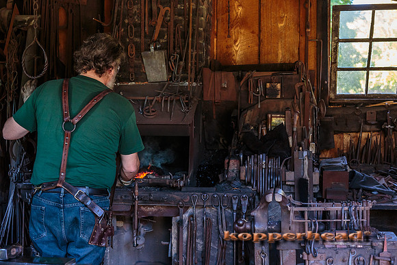 63046 09 2016 Kopperhead