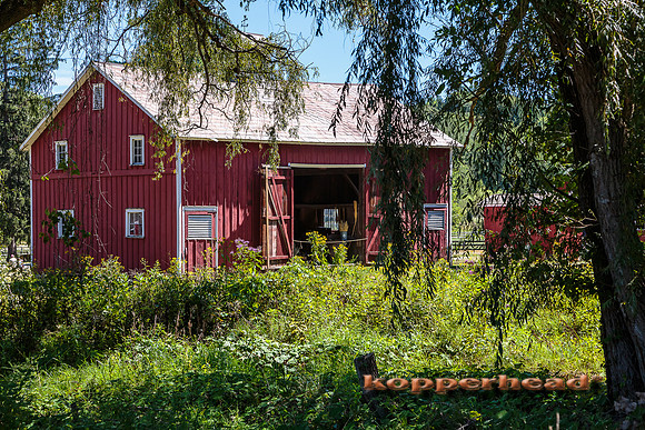 40795 08 2015 Kopperhead