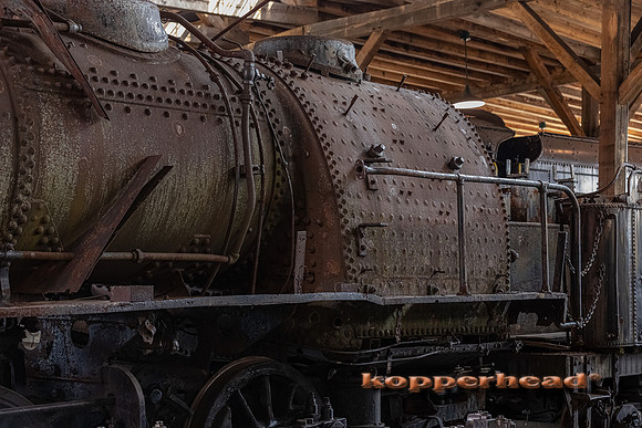 12147 07 2021 Kopperhead