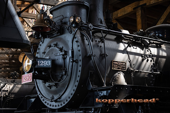 12160 07 2021 Kopperhead