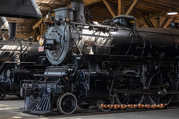 12155 07 2021 Kopperhead