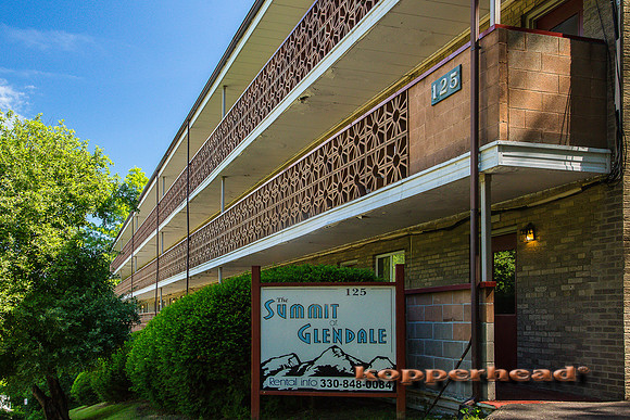 52542 06 2016 Kopperhead