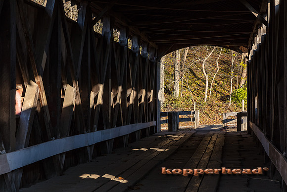 13554 10 2020 Kopperhead