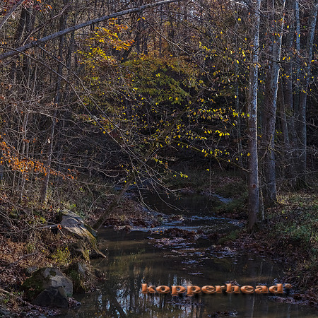 13570 10 2020 Kopperhead