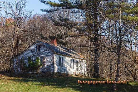 13561 10 2020 Kopperhead