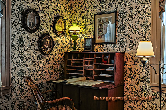 21149h 06 2014 Kopperhead