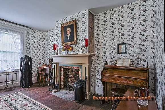 21129h 06 2014 Kopperhead