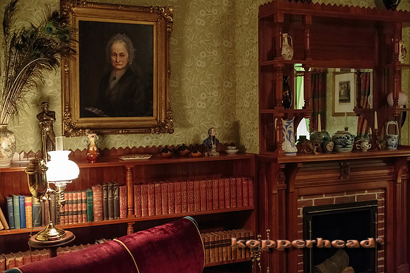 02400 05 2013 Kopperhead-2