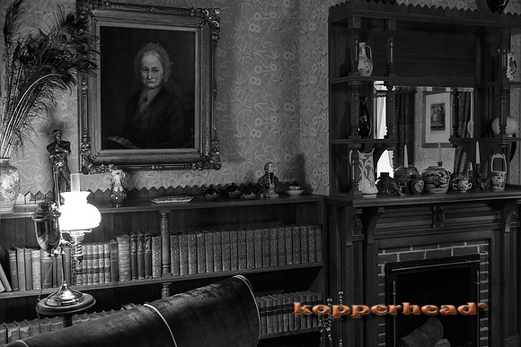 02400 05 2013 Kopperhead