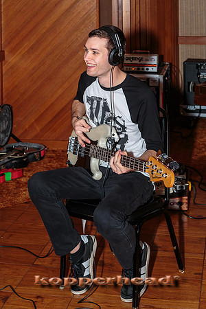15629 12 2013 Kopperhead