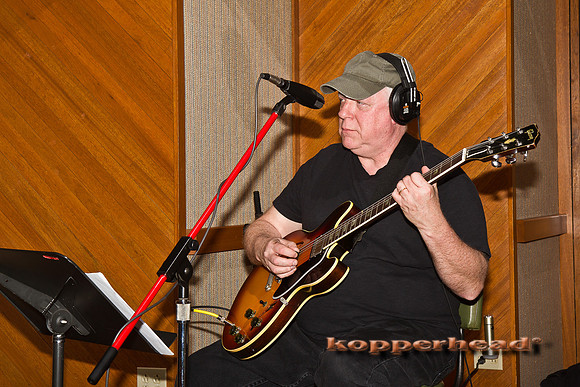 17897 02 2011 Kopperhead