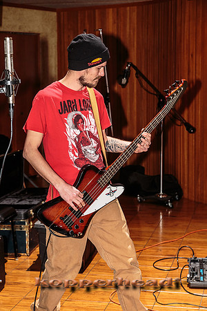 47917 02 2016 Kopperhead