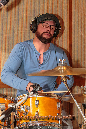 29063 12 2014 Kopperhead