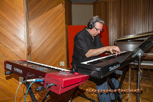41279 06 2012 Kopperhead