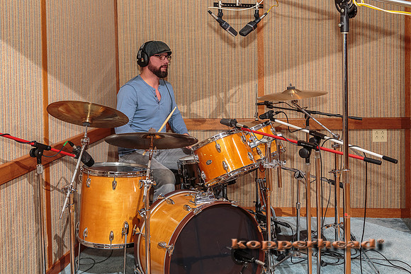 29061 12 2014 Kopperhead