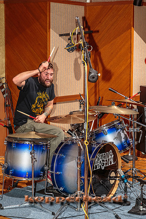 47951 02 2016 Kopperhead