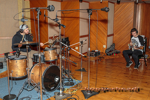 15626 12 2013 Kopperhead