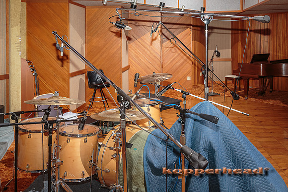 39697 08 2015 Kopperhead