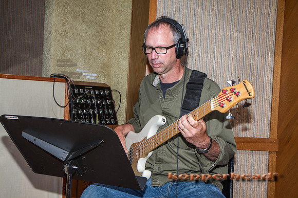 41293 06 2012 Kopperhead
