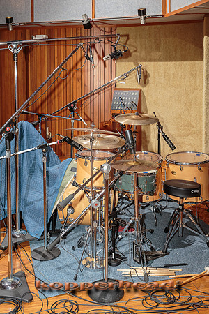 39694 08 2015 Kopperhead