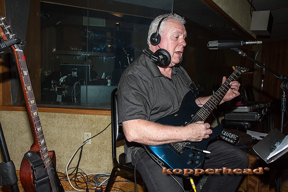41268 06 2012 Kopperhead