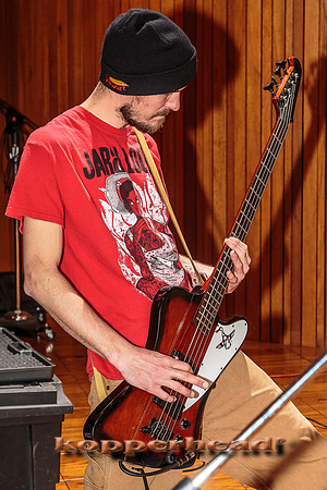 47948 02 2016 Kopperhead