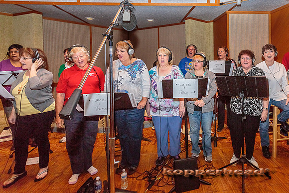 31303 04 2015 Kopperhead