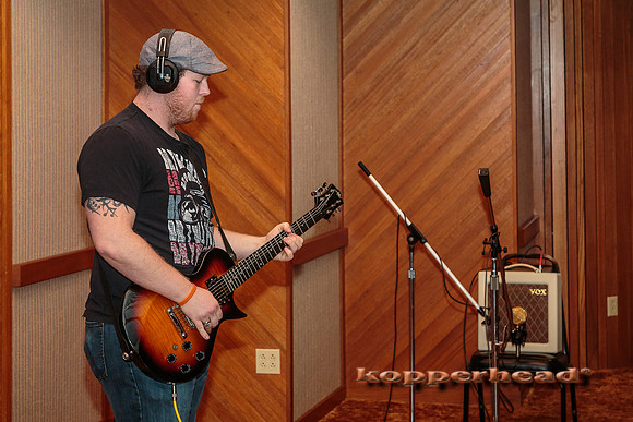 29055 12 2014 Kopperhead