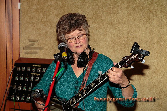 12972 10 2013 Kopperhead