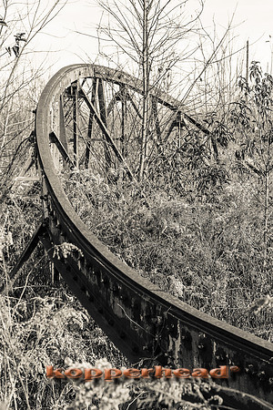 56680 11 2012 Kopperhead