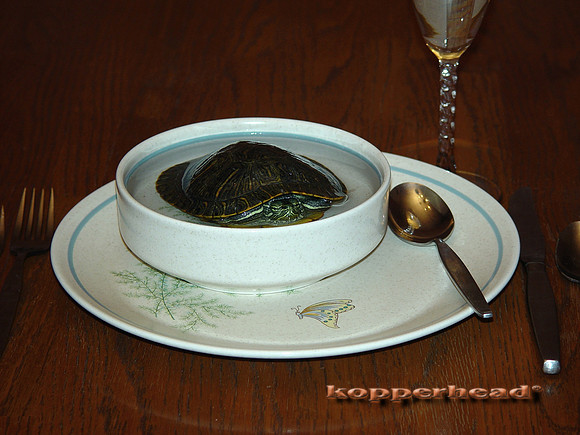 The Soup #2 1376x