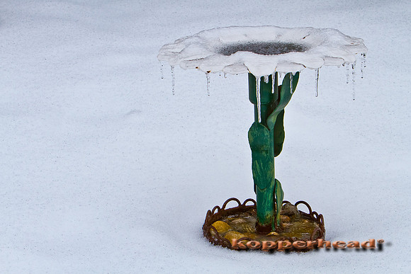 17767 02 2011 Kopperhead